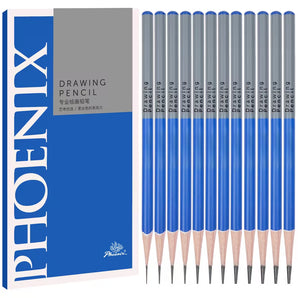 PHOENIX 12pcs Drawing Pencil Set - Professional Pencils (2B), Graphite Drawing Pencils Sketching Supplies for Artists, Beginners, Professional Artists, Painting Art, Sketching