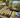 Best Oil Paint Stick Color Set for Landscapes and Woodlands