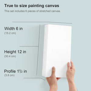 PHOENIX Artist Level Cotton Stretched Canvas Gallery Series
