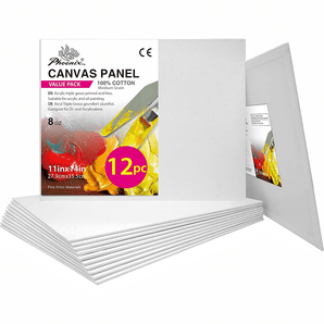 PHOENIX Studio Canvas Panels