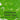 PHOENIX Artist Level Oil Paint Single Tube- Chrome Green Hue