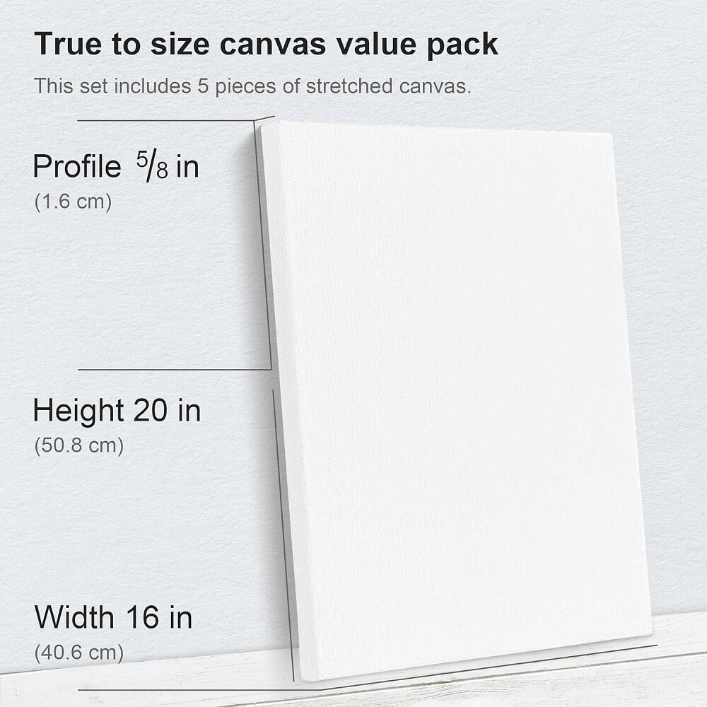 PHOENIX Studio Cotton Stretched Canvas 9X12IN