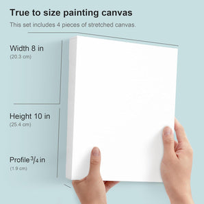 PHOENIX Artist Level Cotton Stretched Canvas Traditiobal & Gallery Series