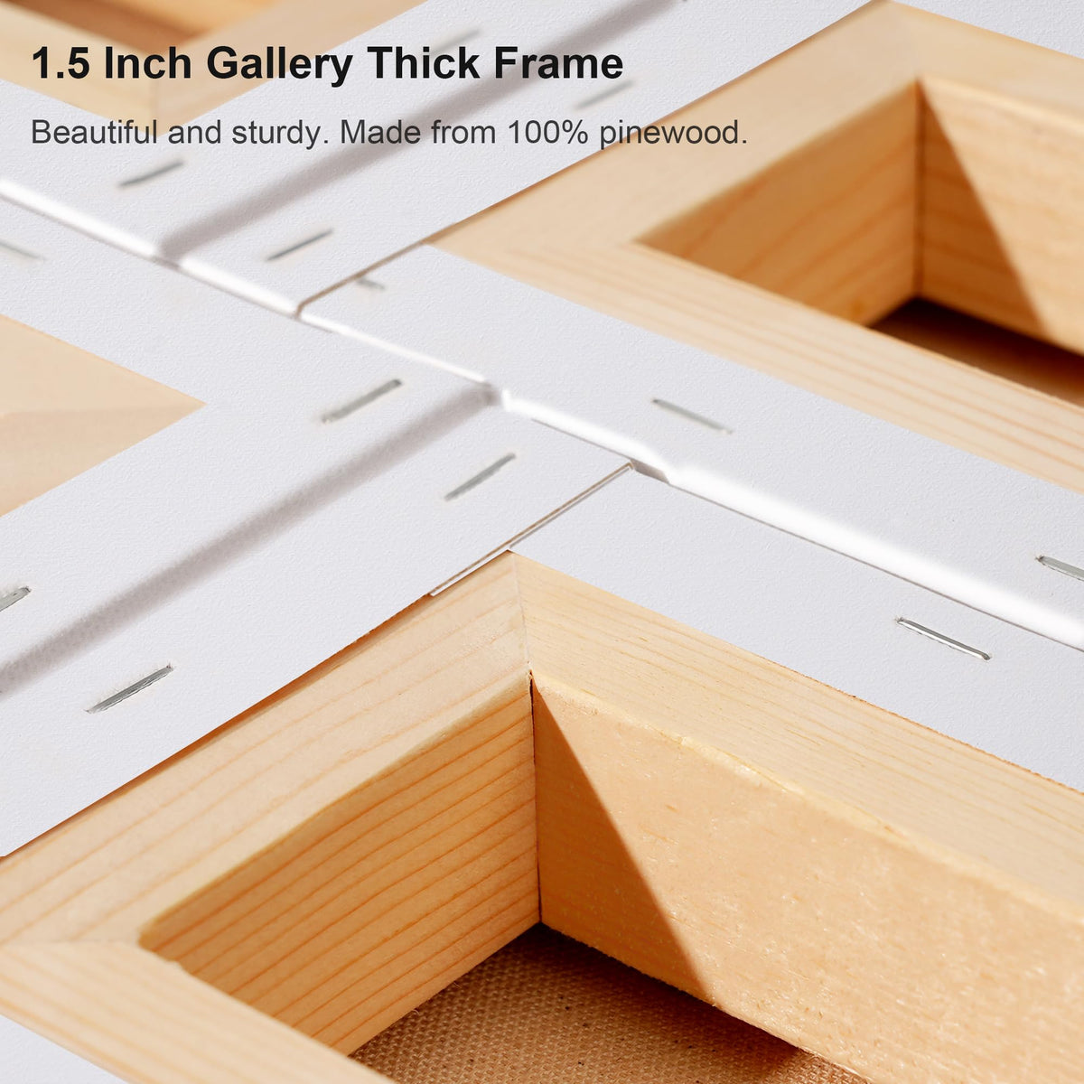 12PACK PHOENIX Professional Watercolor Pro Canvas Panels 5X7+8X10+9X12+11X14IN