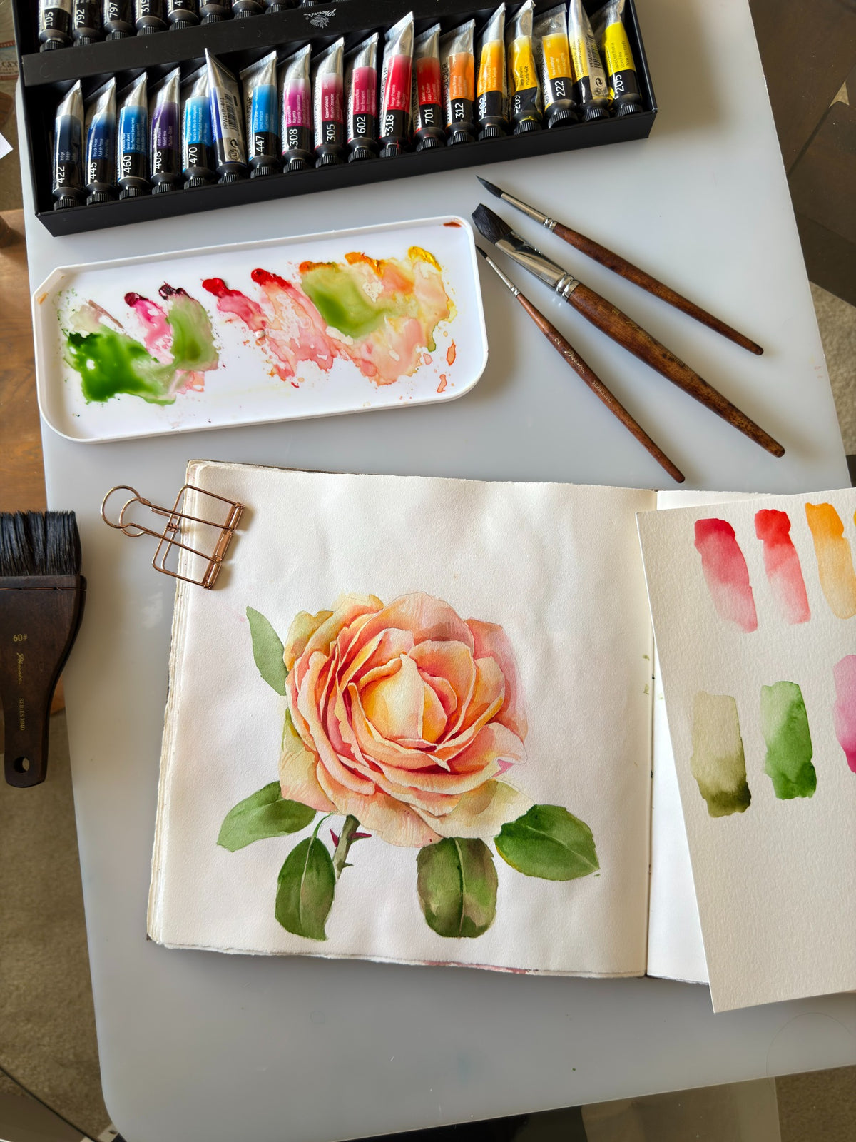 PHOENIX Professional Watercolor Paint Set – 24 Colors × 14ml | Anniversary Gold