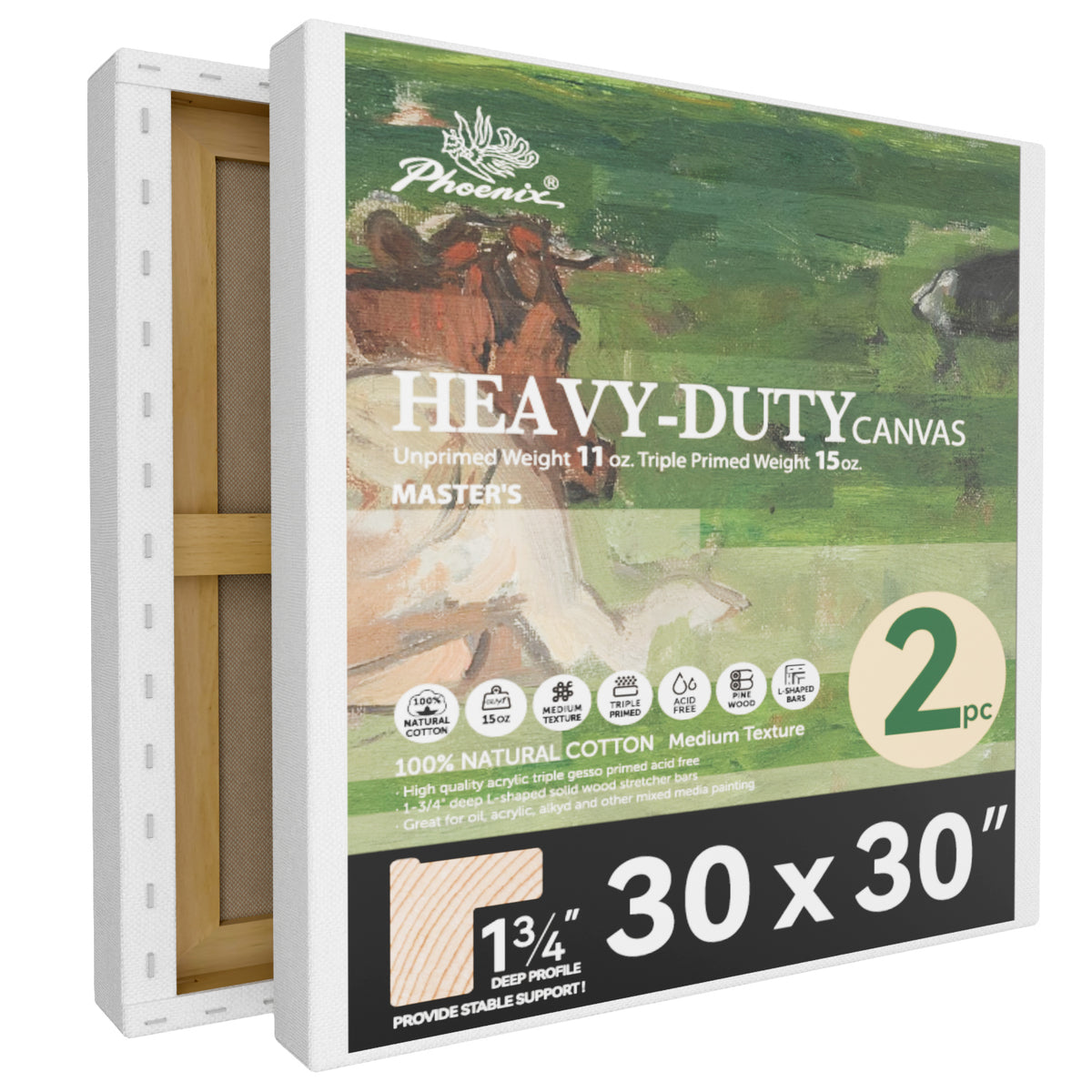 2 Pack PHOENIX 30x30 Inch Heavy Duty Stretched Canvas