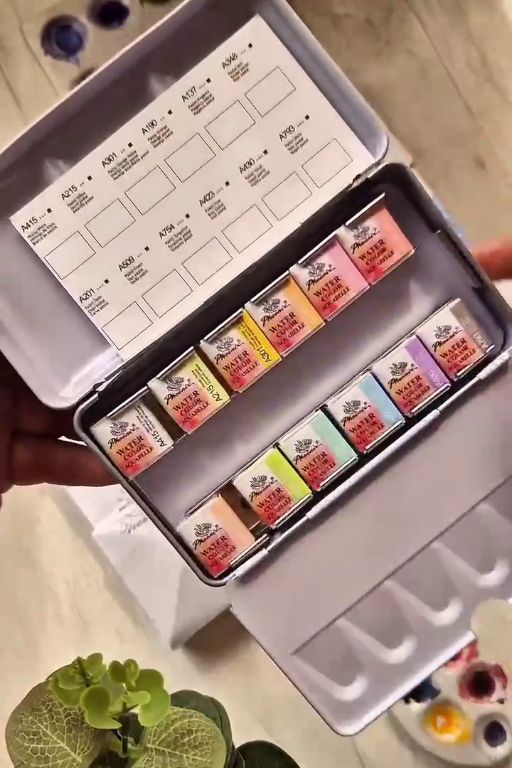 Your Palette, Ready to Go
