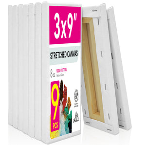 PHOENIX Studio Cotton Stretched Canvas 3X9IN