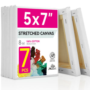 PHOENIX Studio Cotton Stretched Canvas 5X7IN