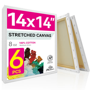 PHOENIX Studio Cotton Stretched Canvas 14X14IN