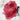 PHOENIX Professional Watercolor Paint Single Tubes 14ml -Permanent Alizarin Crimson