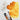 PHOENIX Professional Watercolor Paint Single Tubes 14ml -Quinacridone Gold