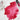 PHOENIX Professional Watercolor Paint Single Tubes 14ml -Permanent Rose