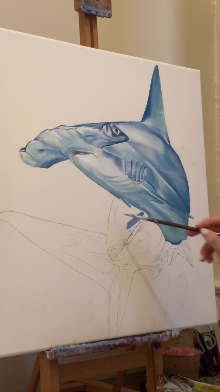 Boccabello.fish — hammerhead shark painting and palette test
